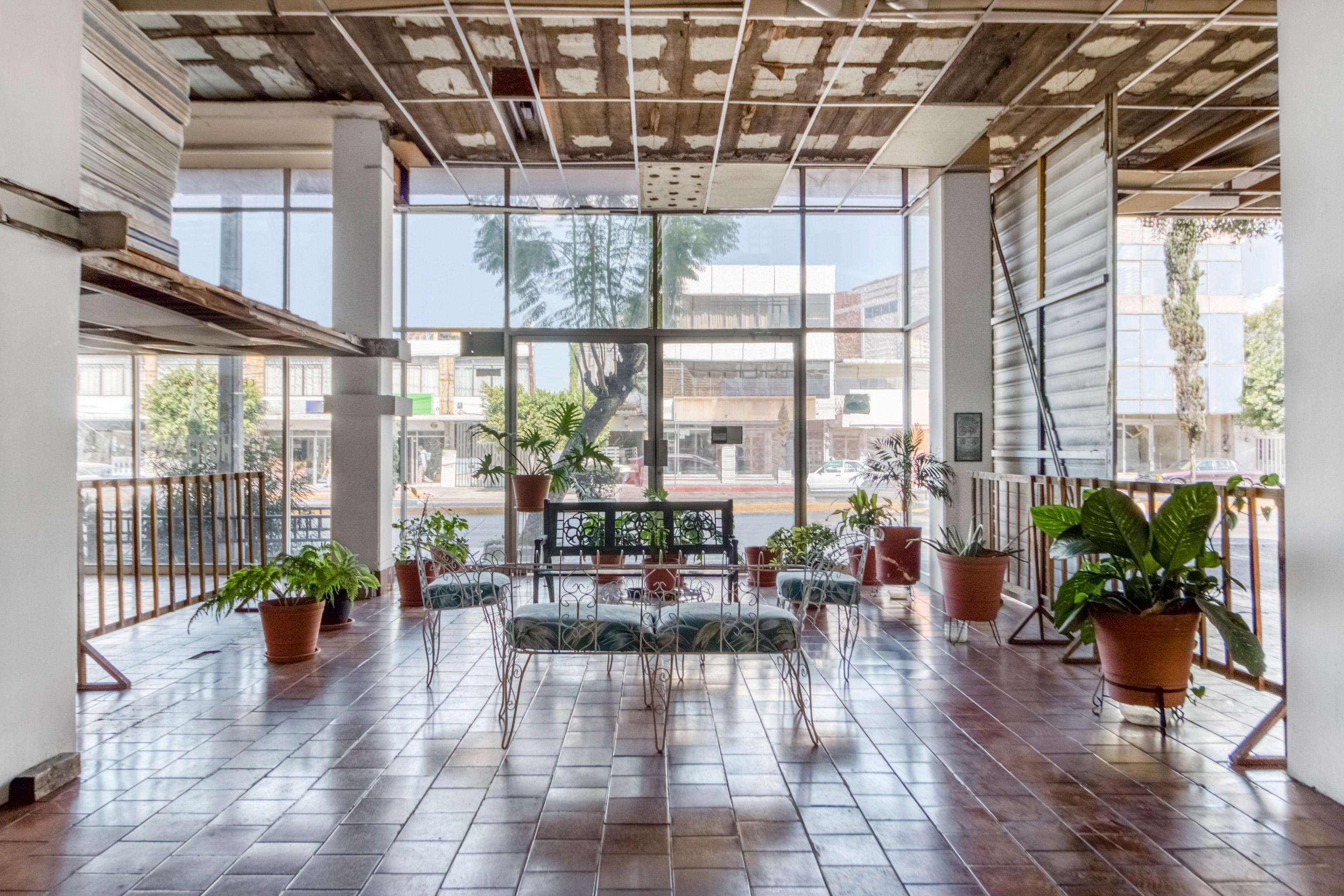 Oyo Hotel Del Llanito, Aguascalientes Exteriör bild